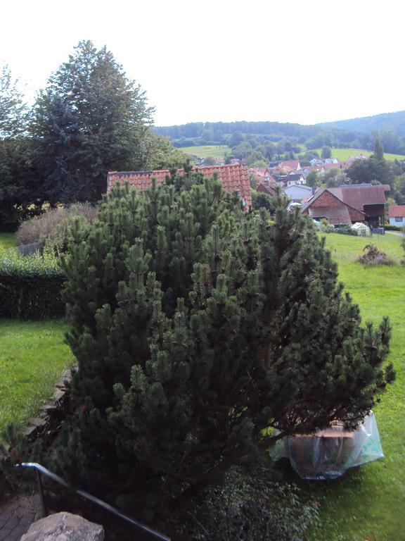 Haus Werrablick Hotel Hannoversch Münden Kültér fotó